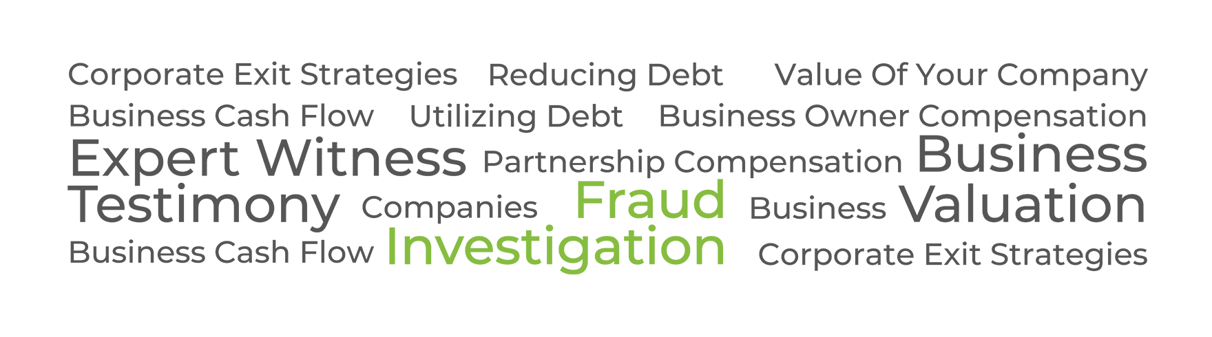 FLC Fraud Investigation global image